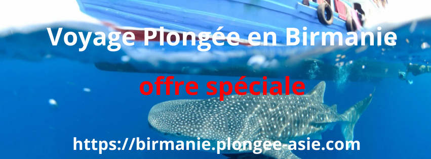 Plongée en Malaisie : Annuaire des sites de plongée & spots | SitesPlongeeAsie.com Plongée en Malaisie : Annuaire des sites de plongée & spots | SitesPlongeeAsie.com